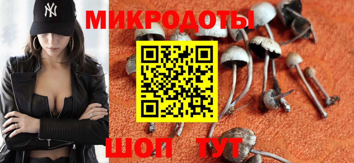 Галлюциногенные грибы мицелий Элиста