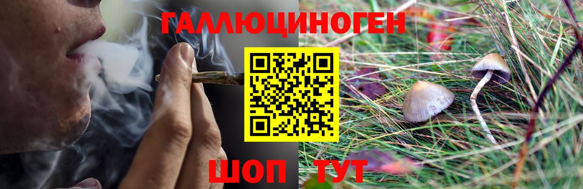 Галлюциногенные грибы MAGIC MUSHROOMS  Вход с VPN  Элиста 